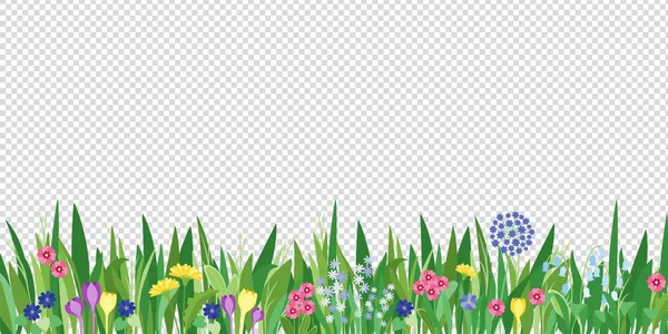 Bahar bahçesi çimenleri ve çiçeklerin sınırı. Karikatür vektör çiçek arka planı. Şeffaf arkaplanda yeşil ögeler
