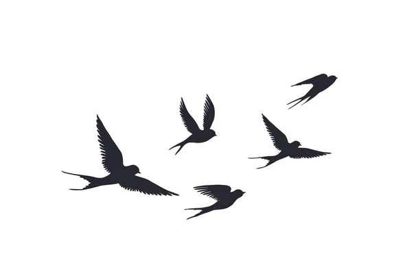 Silhouette d'oiseaux volants sur fond blanc. Ensemble vectoriel de troupeau d'hirondelles signe. Tatouage oiseau de printemps ou oiseaux rapides — Image vectorielle