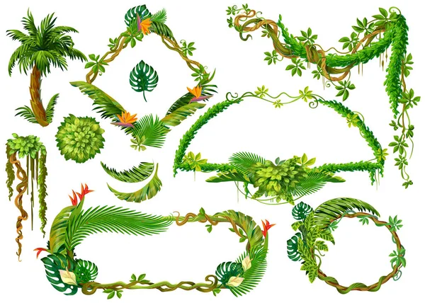 Dessin animé plantes tropicales. Liana branches et feuilles de jungle forestière, éléments de cadre de jeu avec espace pour le texte. Ensemble de plantes isolées vectorielles — Image vectorielle