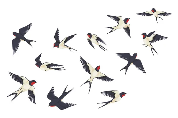 Uçan kuşlar akın eder. Çizgi filmlerdeki el çizimleri, farklı pozlarda kırlangıçlar, beyaz resimli çocuklar. Vektör seti — Stok Vektör