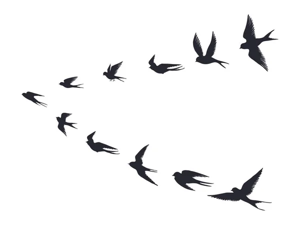 飞鸟群的轮廓。燕子、海鸥或海鸟在白色背景下被隔离。病媒鸟类图标集 — 图库矢量图片