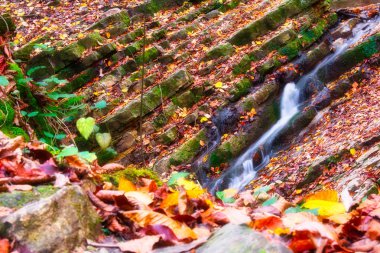 Kasım 'da Macaristan, Obanya' daki Rüya Oblique Şelalesi