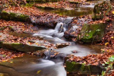 Macaristan, Obanya yakınlarındaki ormandaki küçük dere ve şelalenin uzun pozlu fotoğrafı