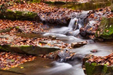 Macaristan, Obanya yakınlarındaki ormandaki küçük dere ve şelalenin uzun pozlu fotoğrafı