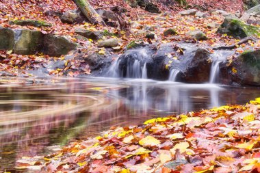 Macaristan, Obanya yakınlarındaki ormandaki küçük dere ve şelalenin uzun pozlu fotoğrafı