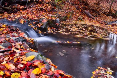 Macaristan, Obanya yakınlarındaki ormandaki küçük dere ve şelalenin uzun pozlu fotoğrafı