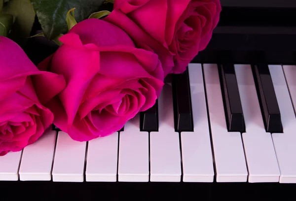 Tre rosa rosor på pianot. Blommor på ett musikinstrument. Födelsedag, 8 mars, internationell kvinnodag, 14 februari, Alla hjärtans dag, mors dag, blomdag. Kort, gåva, romantik, datum, kärlek — Stockfoto