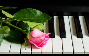 Piyanonun üzerinde küçük bir gül goncası. Müzik enstrümanında çiçek. Doğum günü, 8 Mart, Uluslararası Kadınlar Günü, 14 Şubat, Sevgililer Günü, Anneler Günü, Çiçekler Günü. Kart, hediye, romantizm, tarih, aşk