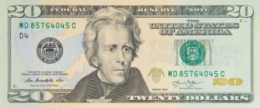 20 Amerikan Doları bill