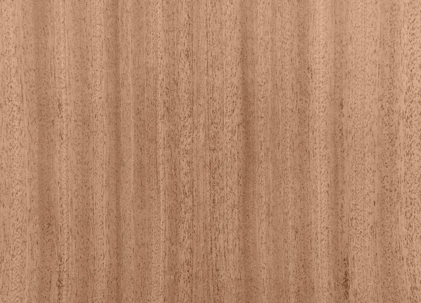 Latar belakang tekstur kayu alami — Stok Foto