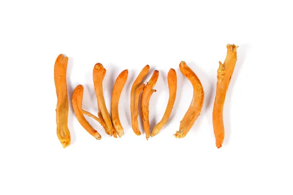 Cordyceps mantar beyaz