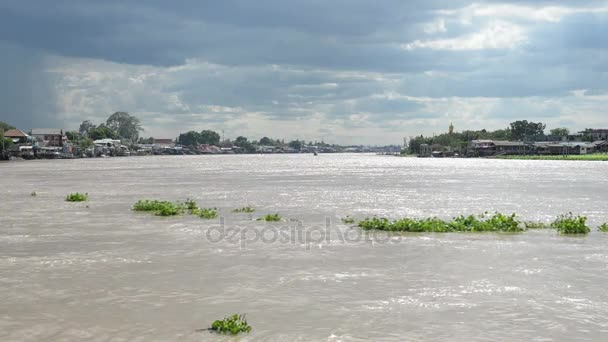 Zmeura de apă acoperă un râu din Thailanda — Videoclip de stoc