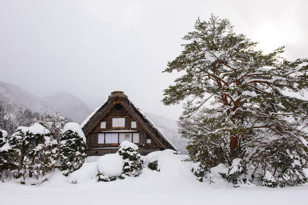 Shirakawago with Snowfall and winter Sun, Gifu Chubu Japan