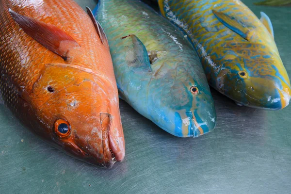 Freshness raw fish in the market — Stock Photo, Image