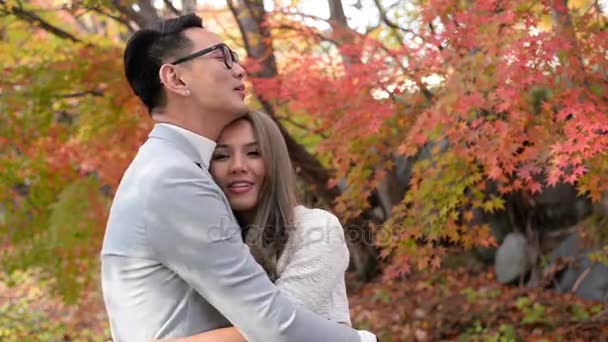 Счастливая пара обнимается в красной осенней сцене с кленом — стоковое видео