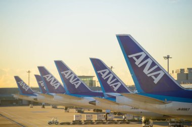 Tokyo, Japonya - 16 Ocak 2017: Tokyo Haneda Havaalanı 16 Ocak 2017 sunrise Park All Nippon Airlines uçak