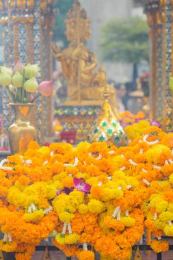 Bangkok, Tayland - 27 Ocak 2018: Budist ibadet Erawan tapınak Bangkok, Tayland, çiçek hediye