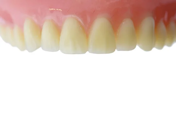 Modelo Anatomía Encía Dental Con Espacio Copia Aislado Sobre Fondo — Foto de Stock