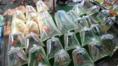 Bangkok, Tayland - 11 Şubat 2017: Balık Chatuchak, Güney Doğu Asya'daki en büyük hafta sonu Pazar hayvan bölgede satmak için plastik torba