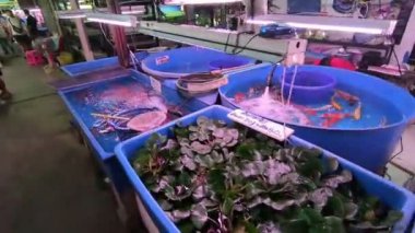 Bangkok, Tayland - 11 Şubat 2017: Chatuchak Hafta sonu Pazar Bangkok, Tayland, Balık pazarı. Dünyanın en büyük pazarlarından biri 15.000 tezgahları üzerinde 35 dönüm araziyi koruyor