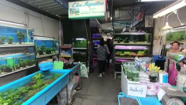 Bangkok Thailand März 2017 Fischmarkt Jatujak Oder Chatuchak Wochenendmarkt Bangkok — Stockvideo