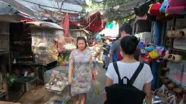 Bangkok Tailândia Março 2017 Coelho Frango Para Vender Zona Animal — Vídeo de Stock