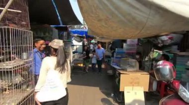 Bangkok, Tayland - 11 Şubat 2017: Kuş ve hayvan Chatuchak, Güney Doğu Asya'daki en büyük hafta sonu Pazar bölgede satmak için tavuk