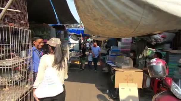 バンコク タイ王国 2017 鳥やチャト チャック 東南アジアで最大の週末市場で動物ゾーンで販売用のチキン — ストック動画