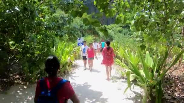 Krabi Tailândia Março 2018 Turistas Caminham Caminho Arenoso Admiram Árvores — Vídeo de Stock