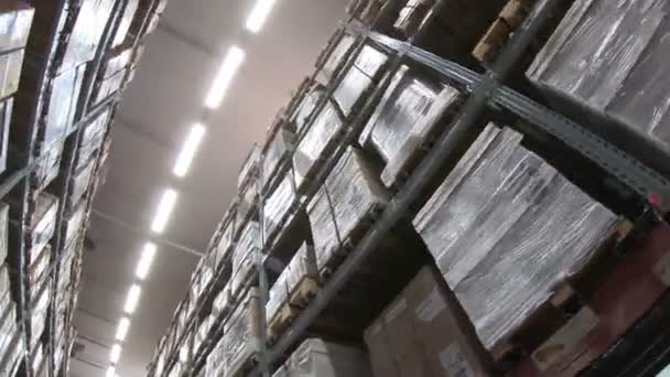 Moving Palettes Ordered Goods Materials Warehouse — Stock Video