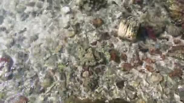 海浪与岩石的顶部视图 — 图库视频影像
