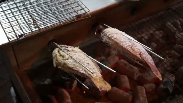 Gesalzener Gegrillter Fisch Mit Holzkohleofen Mit Flamme — Stockvideo