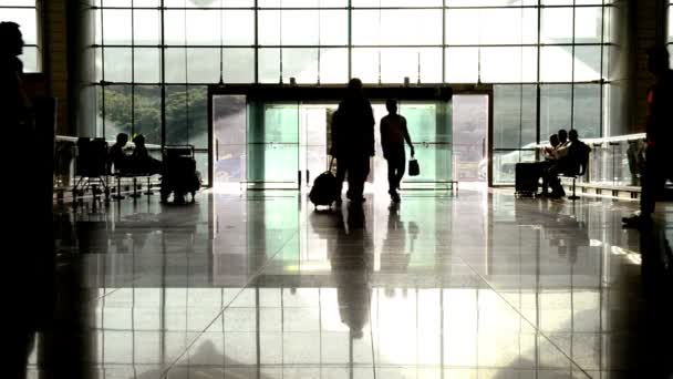 空港ターミナルでのトロリー ケースと旅客散歩のシンガポール シンガポール 2018 シルエット — ストック動画