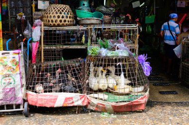 Bangkok, Tayland - 29 Ekim 2019 Khlong Toei Market 'te canlı ördek ve tavuk satışı