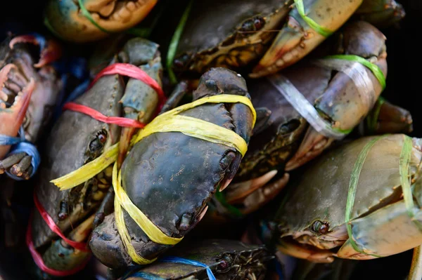Fresh Serrated Mud Crab Mangrove Crab Prepare Sell Market — Stock Photo, Image