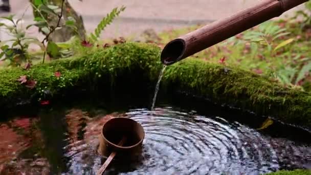 Διαρροή Νερού Από Σωλήνα Μπαμπού Ήσυχο Κήπο Στο Ιαπωνικό Ναό — Αρχείο Βίντεο