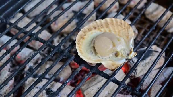 Frische Gegrillte Jakobsmuscheln Mit Butter — Stockvideo