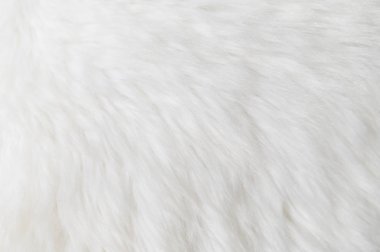 White fluffy fur texture patterns background