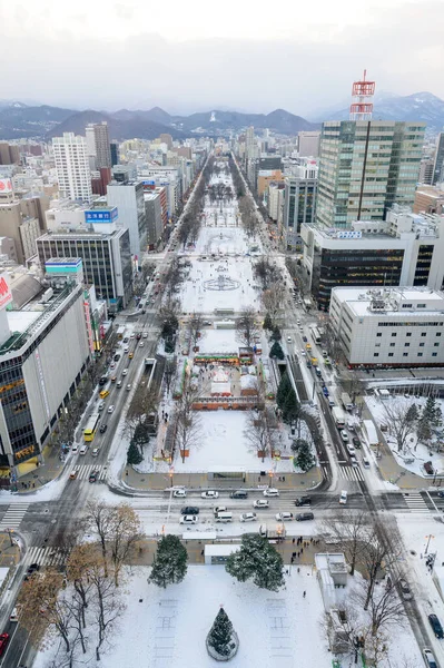 Sapporo Japan December 2019 View Odori Park Sapporo Tower — Zdjęcie stockowe