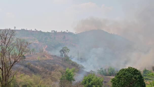 Wildfire Στις Πλαγιές Λόφους Στη Νοτιοανατολική Ασία — Αρχείο Βίντεο