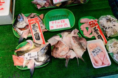 Fukuoka, Japonya - 13 Kasım 2019: Fukuoka 'daki Yanagibashi Rengo pazarında satışta olan taze balık manzarası