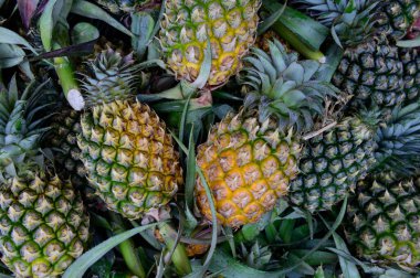 Markette sarı ananas yığını