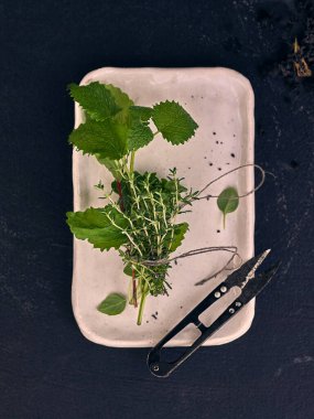 Taze kesilmiş nane yaprakları.