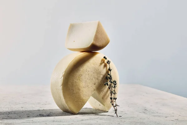 Твердий сир з гілочкою лаванди — стокове фото