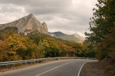 Yeşil bir ormanda, kayalıklı bir dağ yolu.