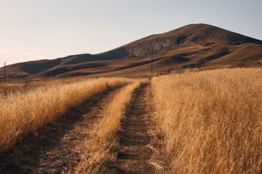 Güneşin günbatımı ışınlarıyla bozkırda güzel bir yol
