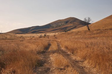 Gün batımında tarlaya giden yol