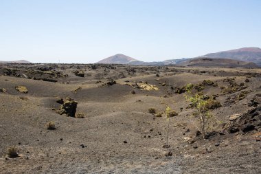 Lanzarote, merkez bölgedeki lav sahalarının harika doğası.