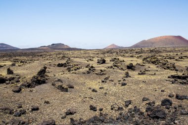 Lanzarote, merkez bölgedeki lav sahalarının harika doğası.