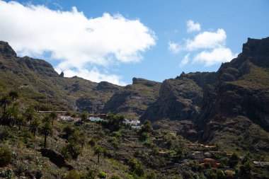 Tenerife - Masca 'nın harika köyü - Kanarya Adası - İspanya